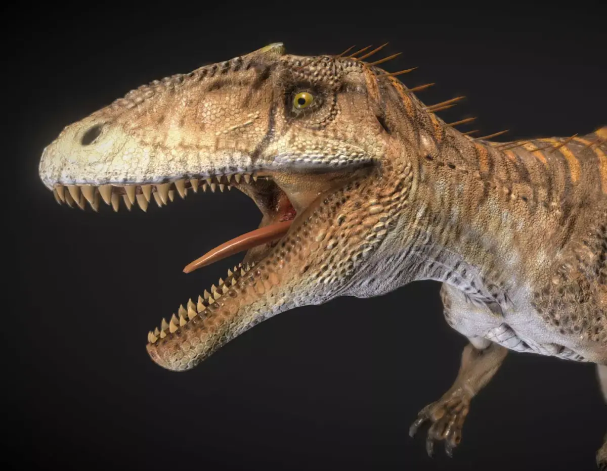 Concavenator Low-poly 3D model