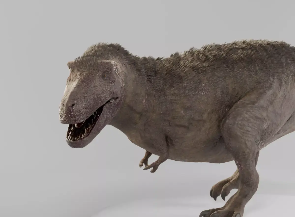 Tyrannosaurus Feathered Low-poly 3D model
