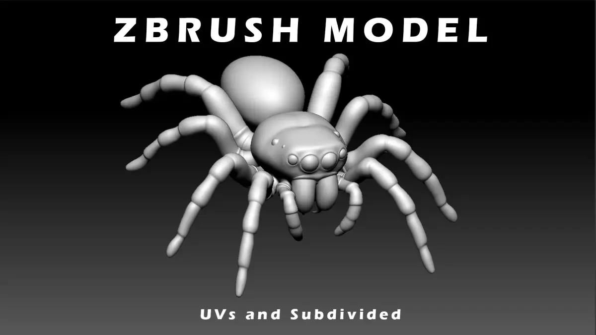 Jumping Spider Low-poly 3D model buy