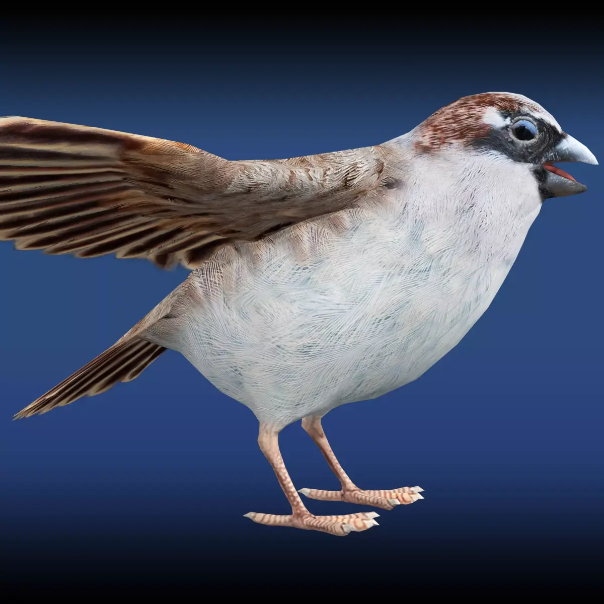 Sparrow Rig Low-poly 3D model