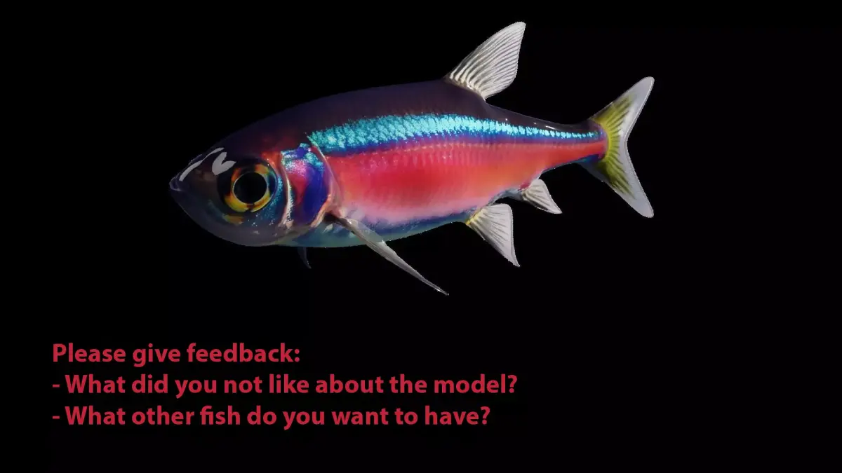 Neon Tetra Fish Free 3D model