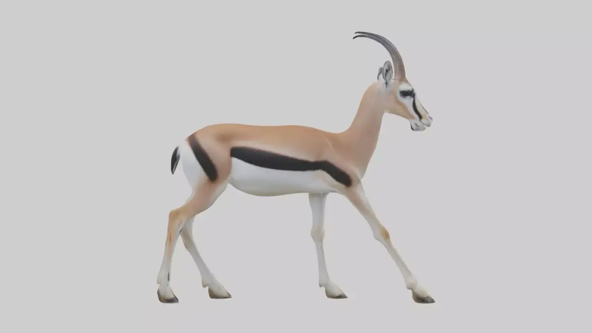 Thomsons gazelle Low-poly 3D model