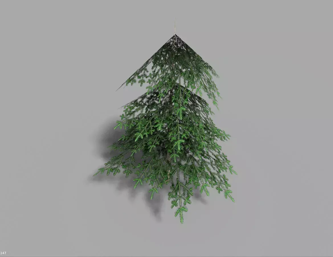 low poly small spruce Low-poly 3D model
