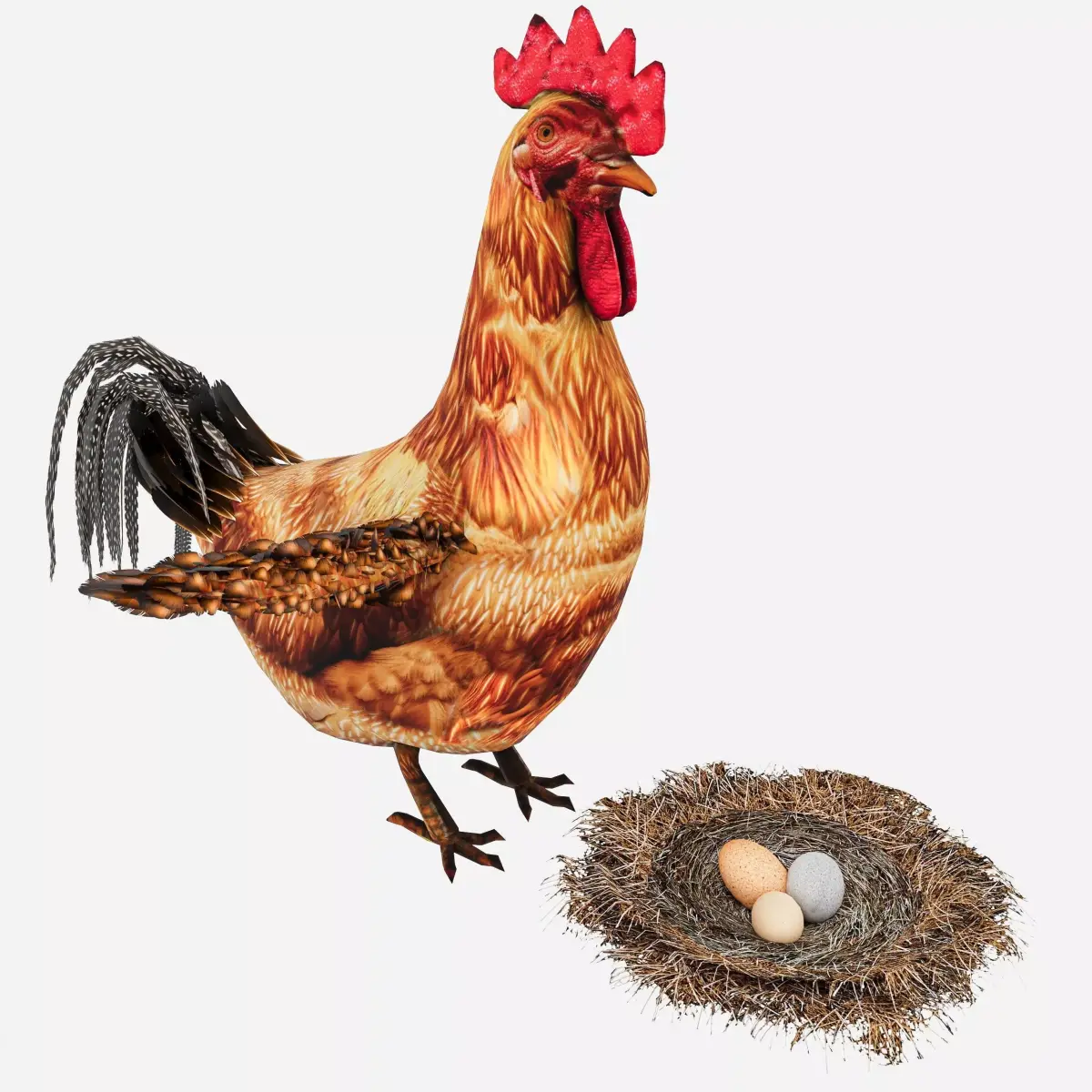 Chicken With Nest Low-poly 3D model