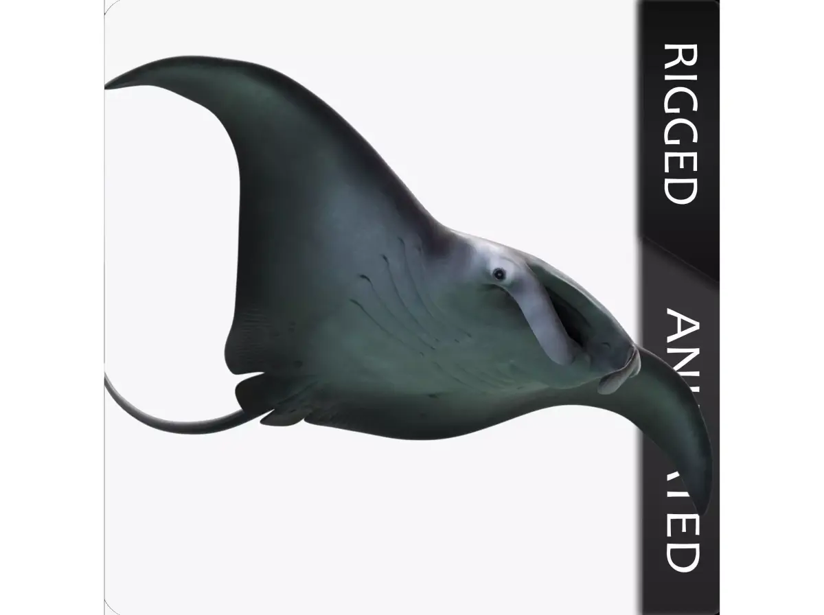 Manta Birostris Low-poly 3D model