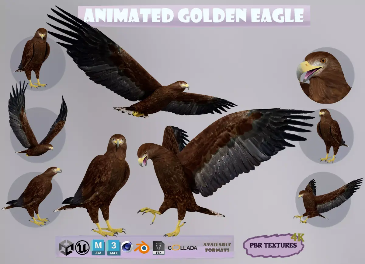 Realistic Animated Golden Eagle Low-poly 3D model