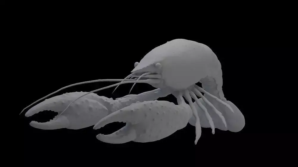High polygon Crayfish Model Free 3D model