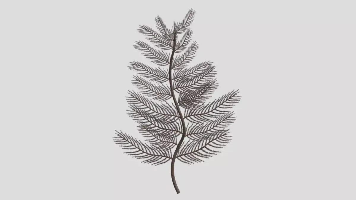 Antipatharia coral Low Poly Free low-poly 3D model