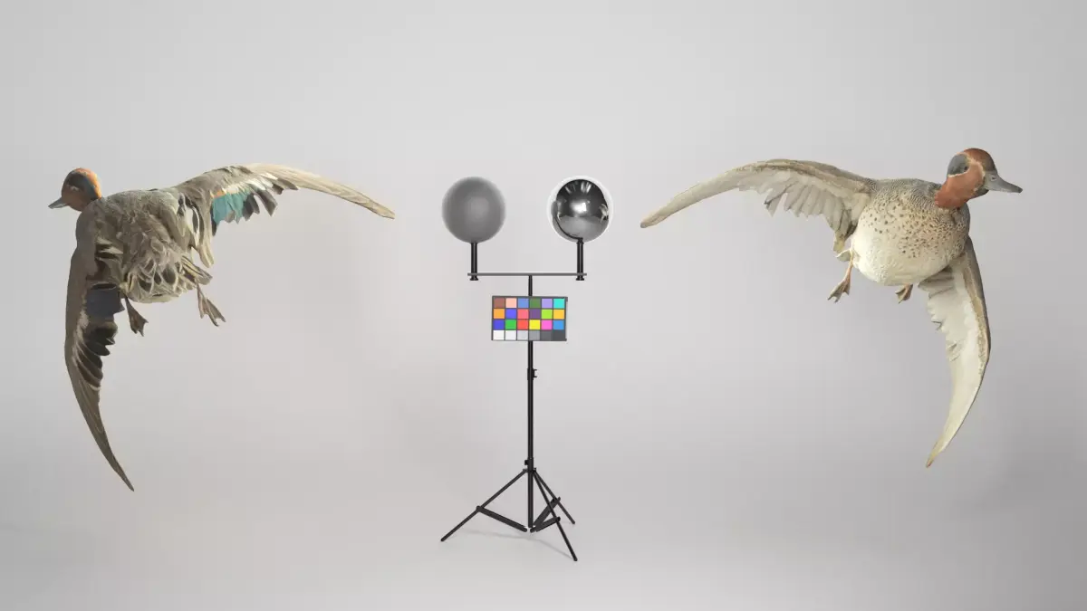 Flying duck 13 Low-poly 3D model