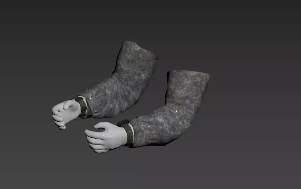 FPS ARMS 3D model