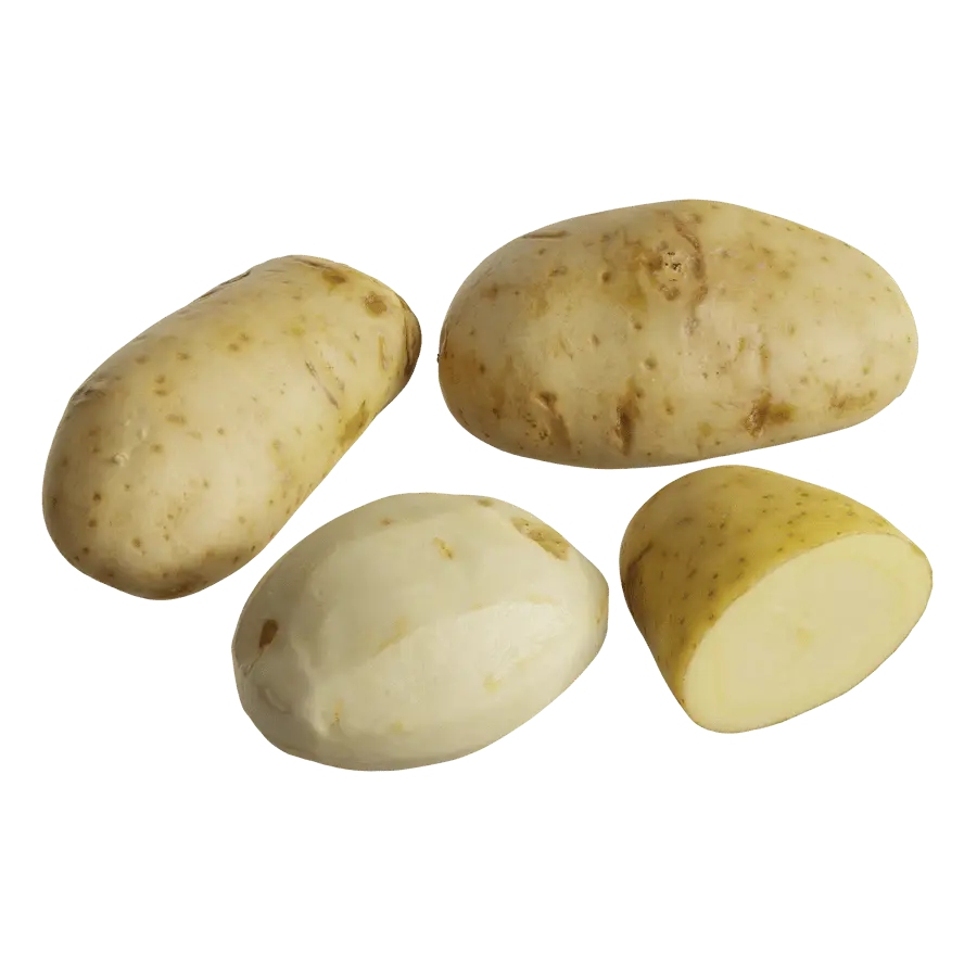  Potato Models  purchase