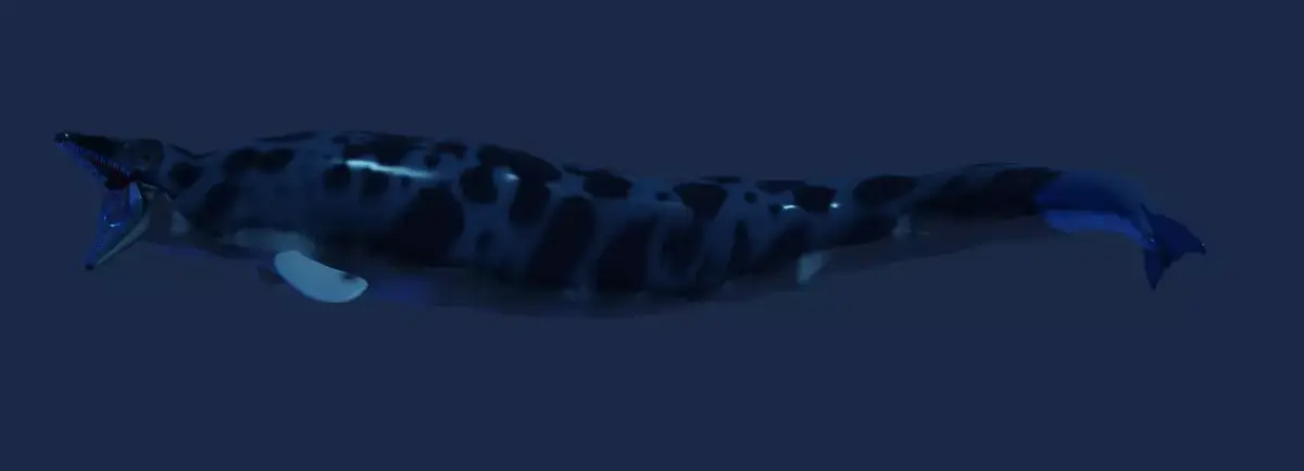 Basilosaurus isis 3D model