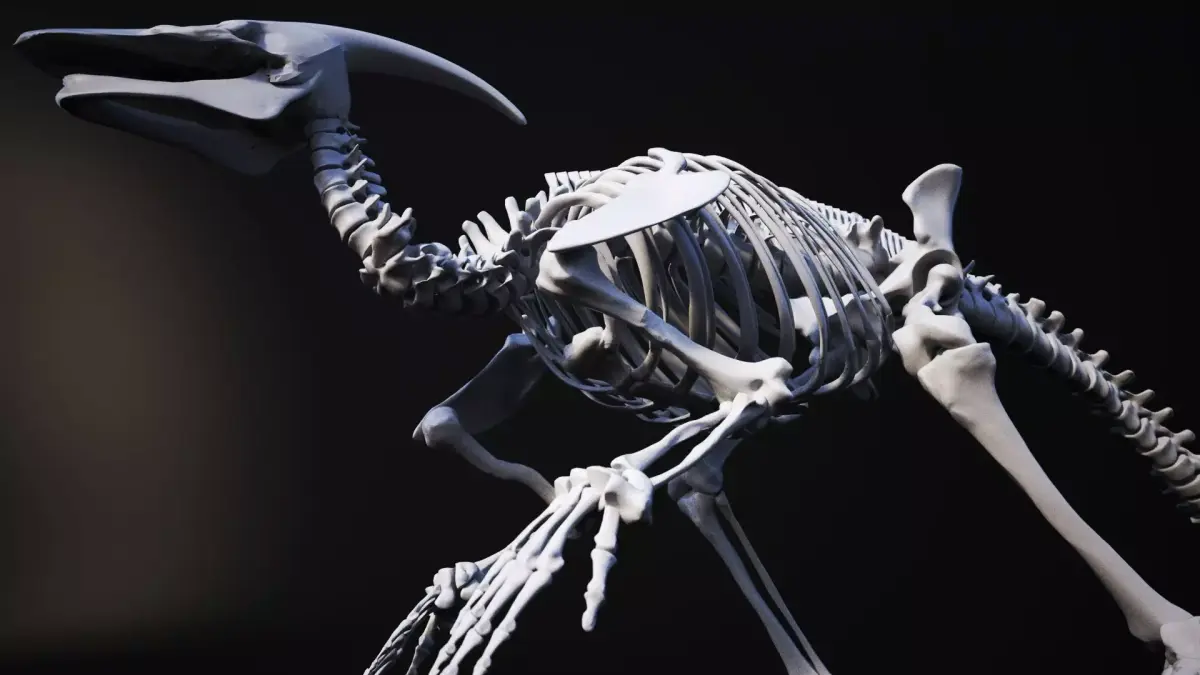 Dinosaur bone 3D model 3D model
