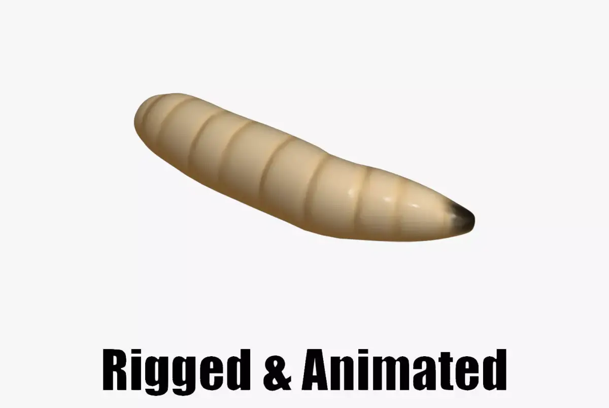 animated maggot 3D model