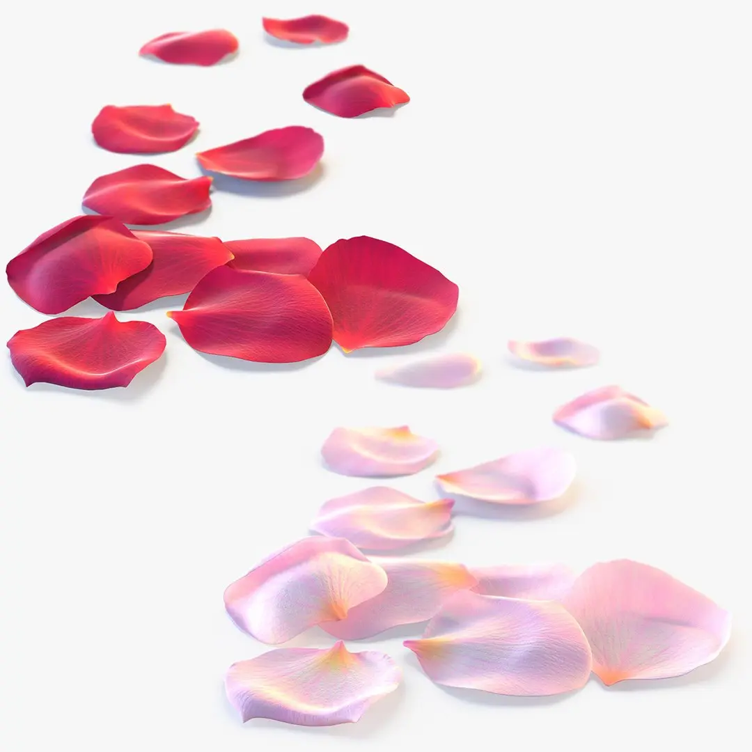 Realistic Rose Petals 3D Models - High-Quality 4K PBR Asset 3D model