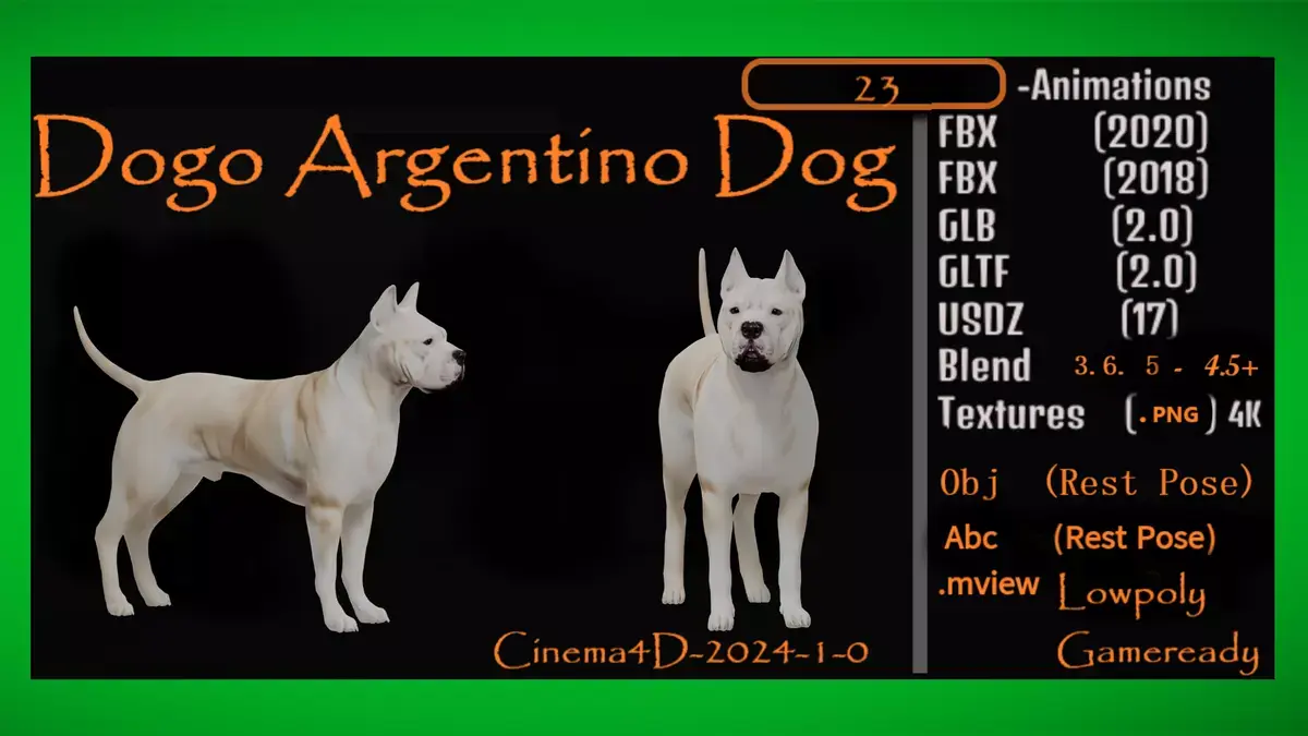 Dogo Argentino Dog Free low-poly 3D model