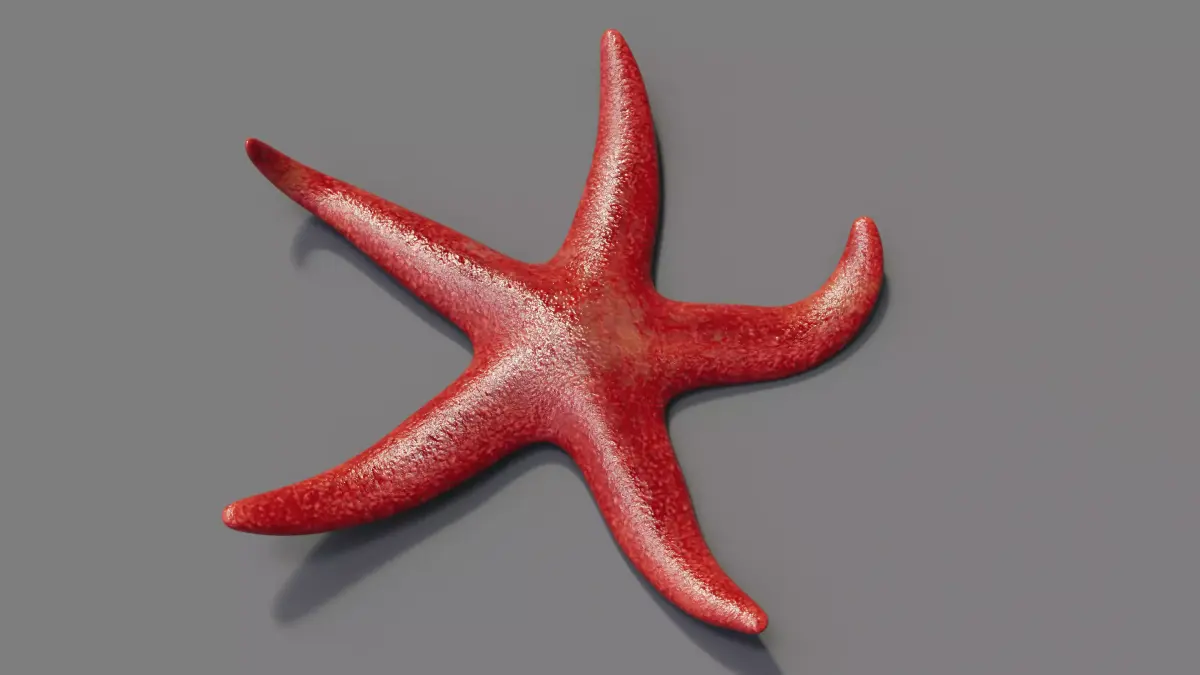 Red Starfish Low-poly 3D model