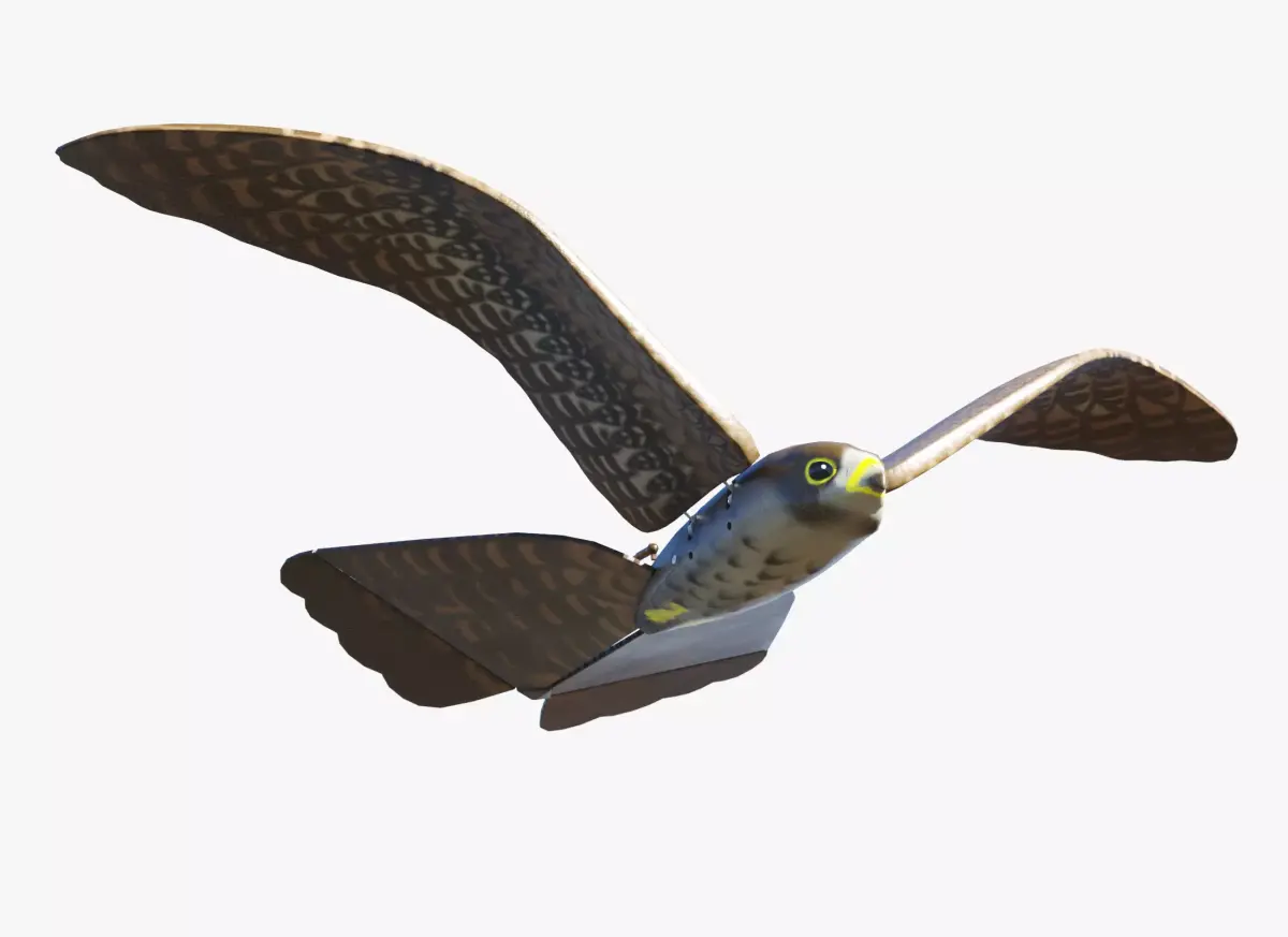 Aerium Robird falcon drone Low-poly 3D model