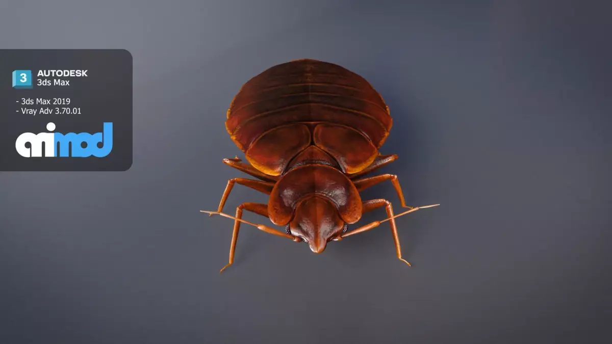 Mites 3D model