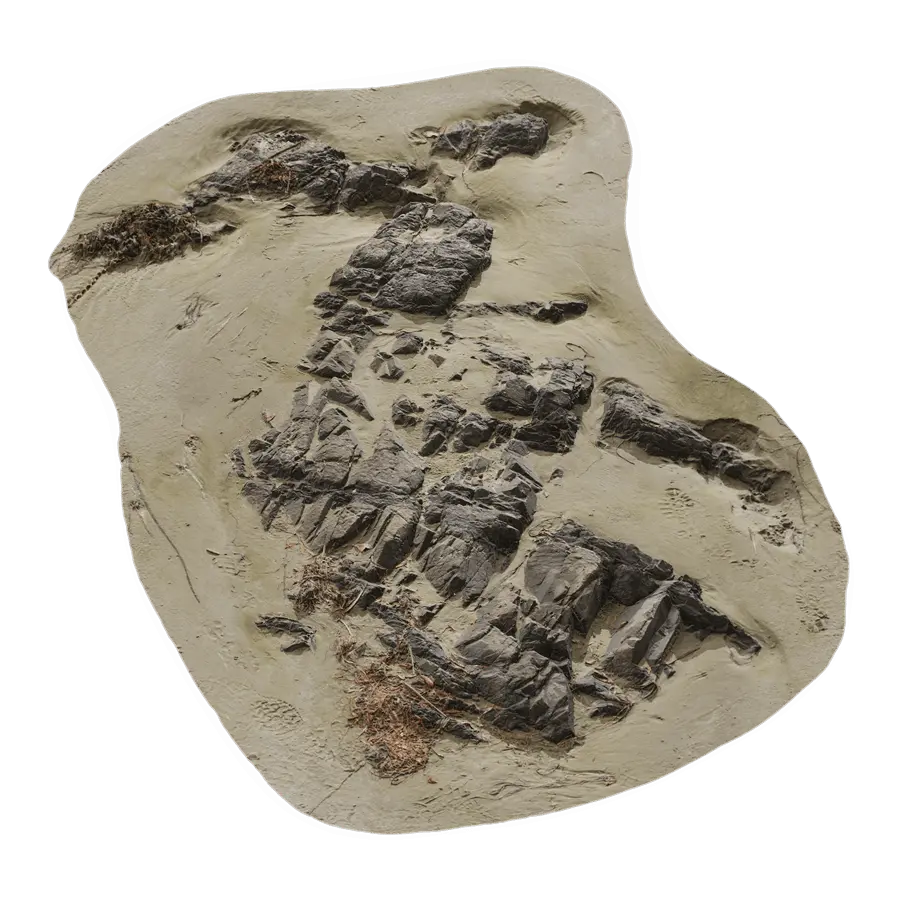  Medium Scattered Beach Rock Model  purchase