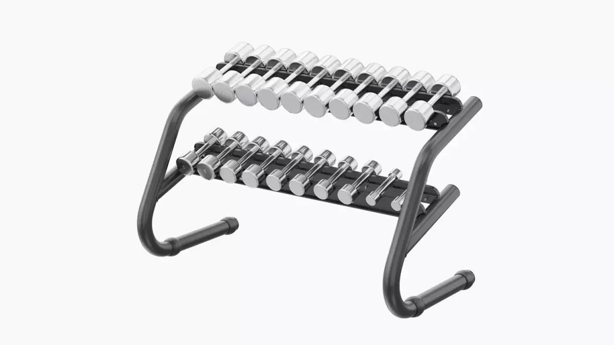 Technogym Chrome Dumbbells 3D model