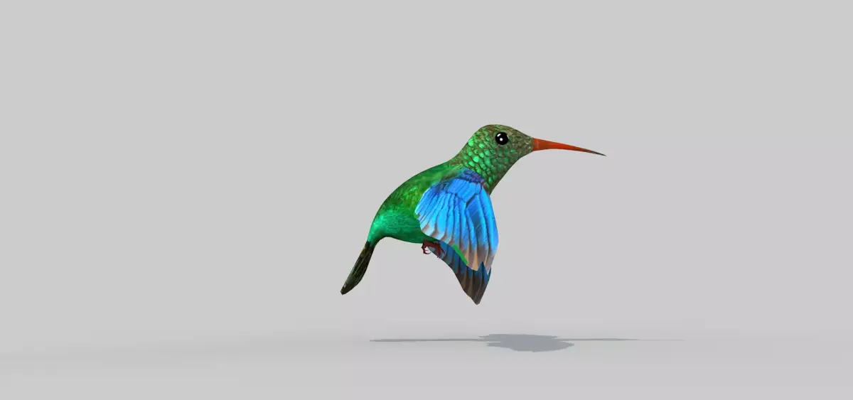 Humming Bird Two 3D model