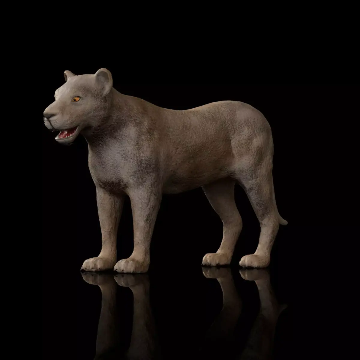 animal lion Low-poly 3D model