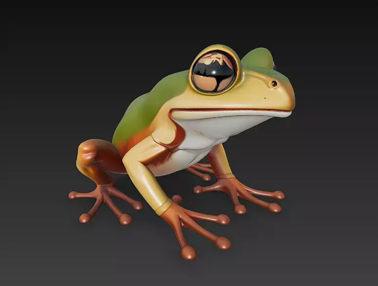 Frog Realistic 3D Model Basic - Low Poly Realistic Low-poly 3D model purchase
