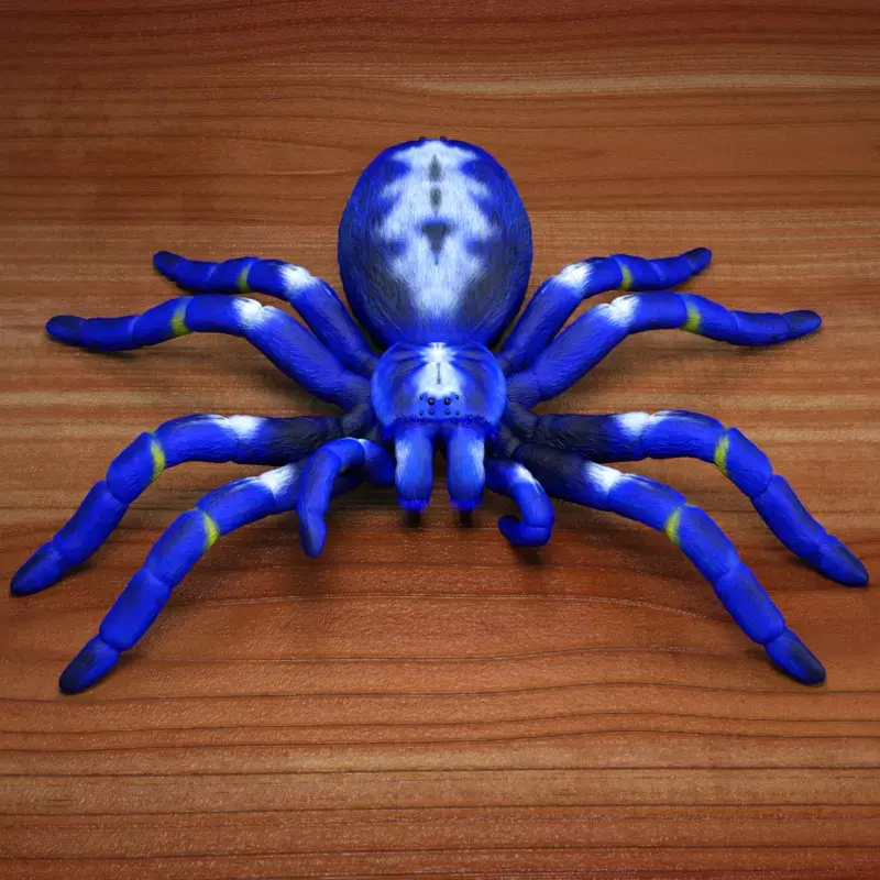 Tarantula - Gooty Sapphire Spider - Poecilotheria Metallica 3D model