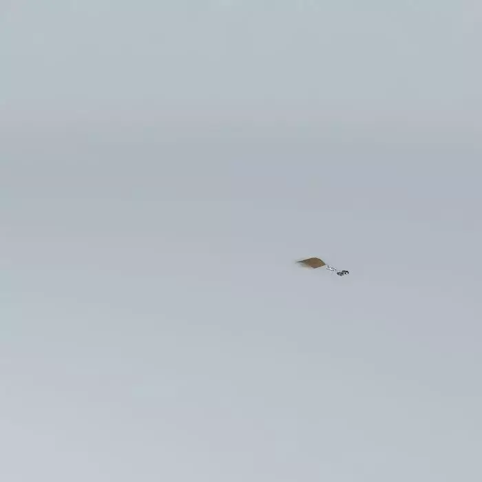The Bad Pun Racer Free 3D model