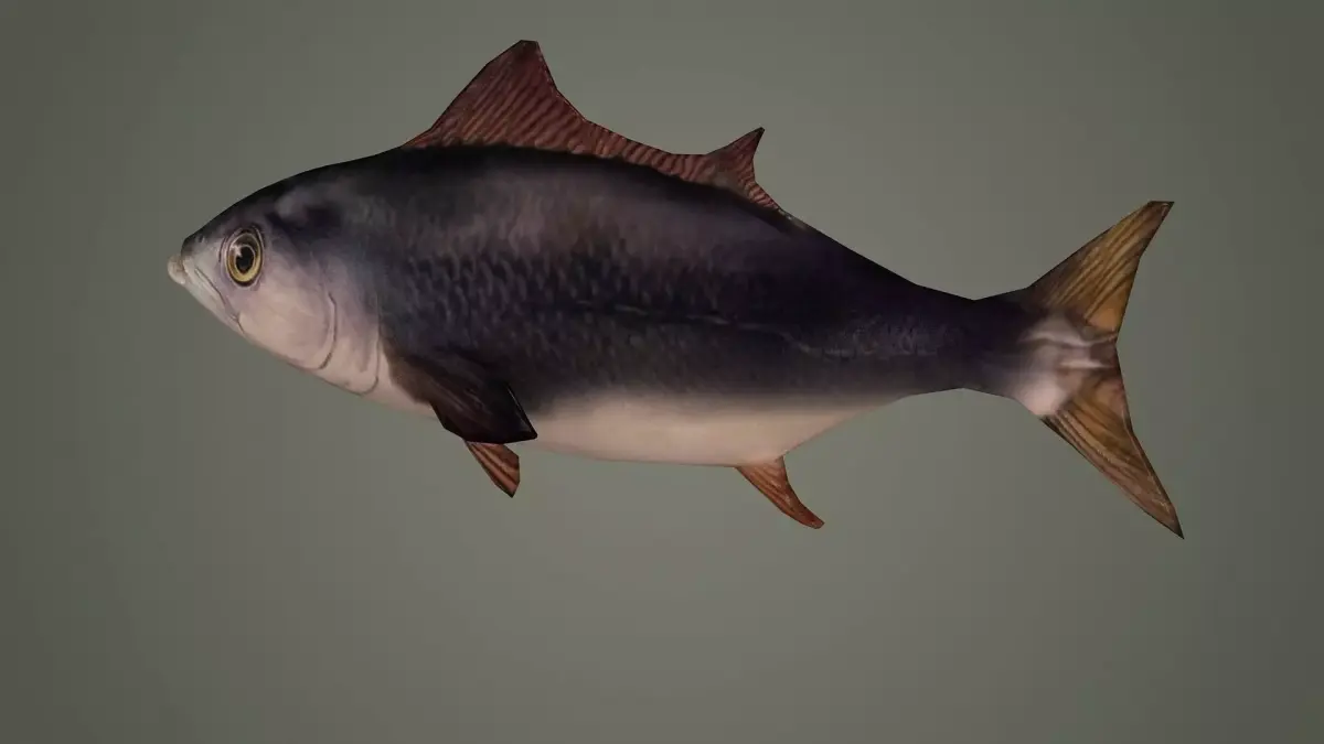 fish underwater ocean sea water animal sardine shoal nature 3D model