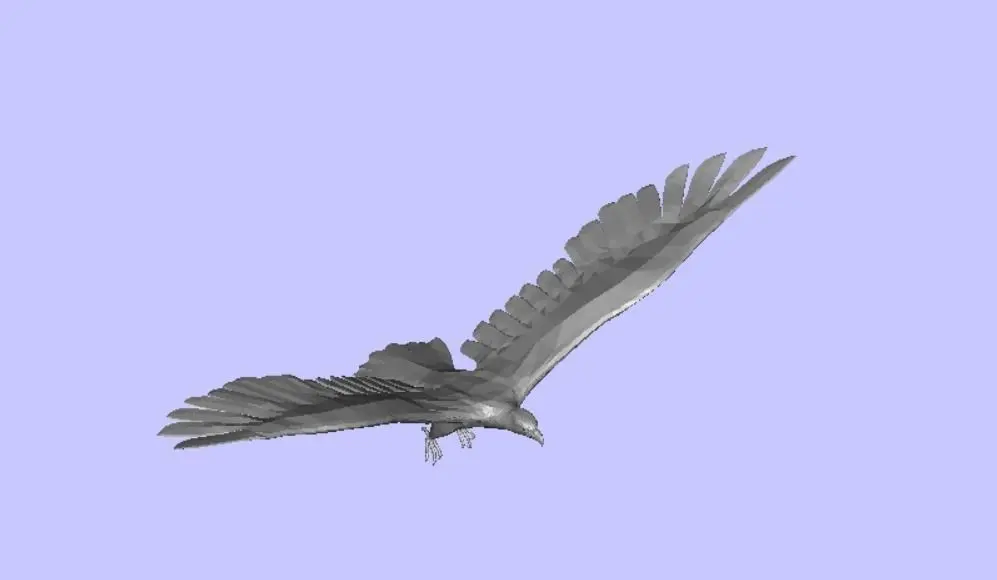 eagle in flight Free 3D model