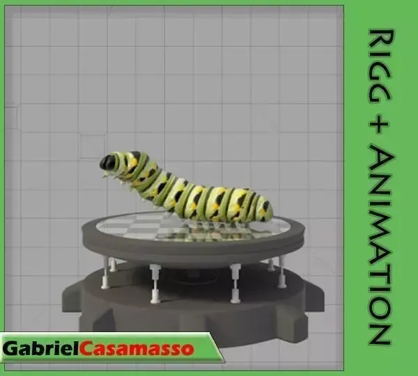 Monarch Larva 3D model