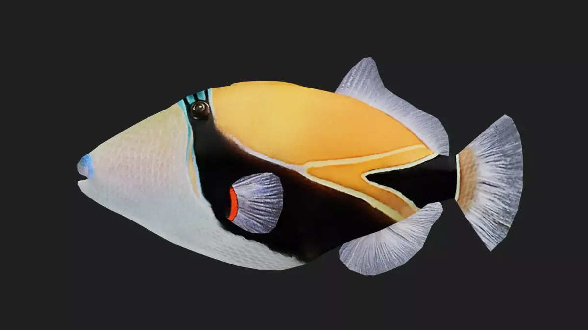Filefish Low-poly 3D model order