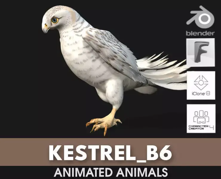 Kestrel B6 3D model