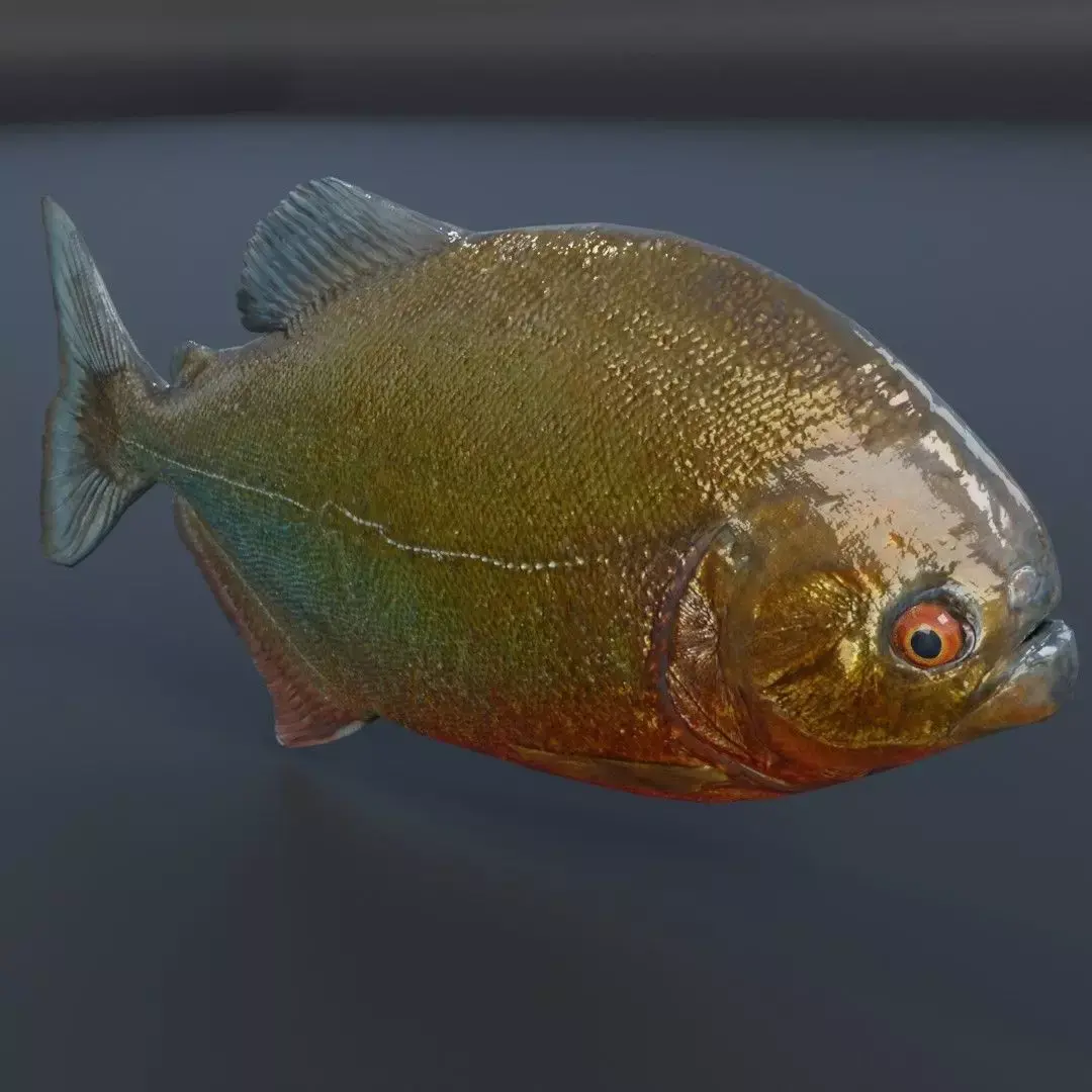 Piranha fish Free low-poly 3D model