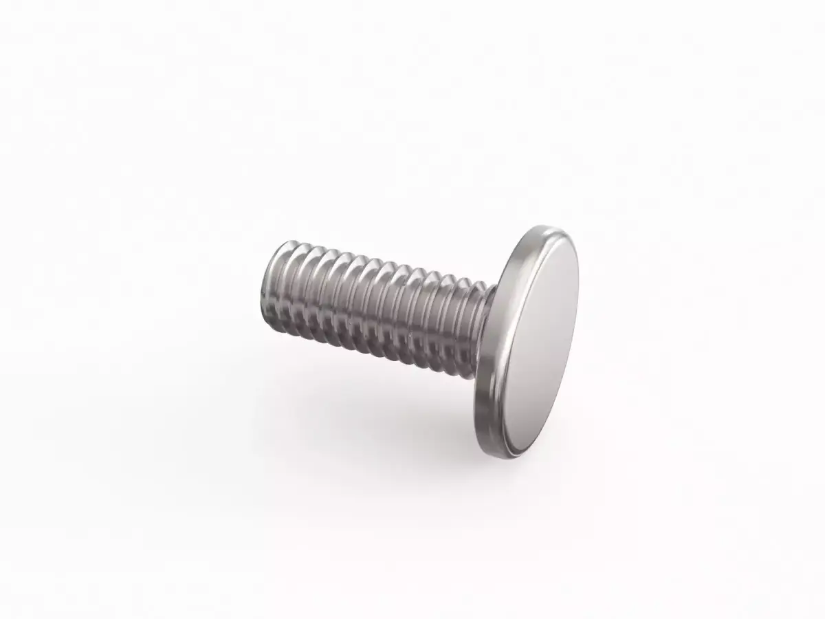 Screw 81 3D model