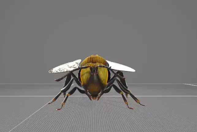 Bee Animation 3D model