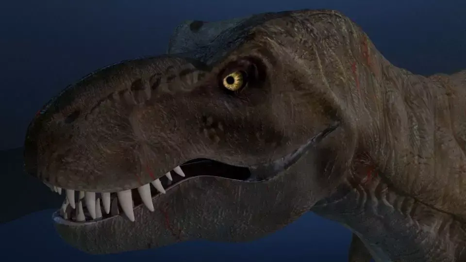 Tyrannosaurus Rex 3D model 5