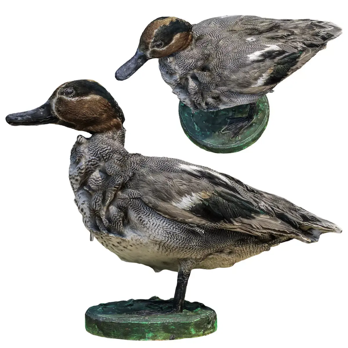 Wild duck 3D model