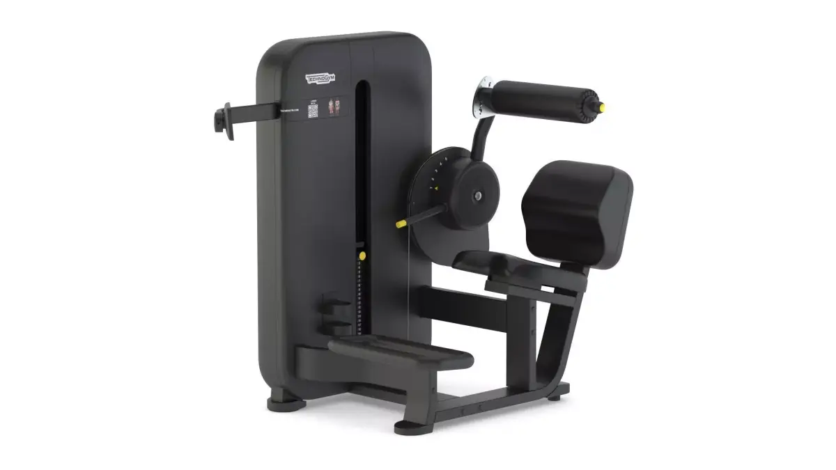 Technogym Selectorized Artis Lower Back 3D model