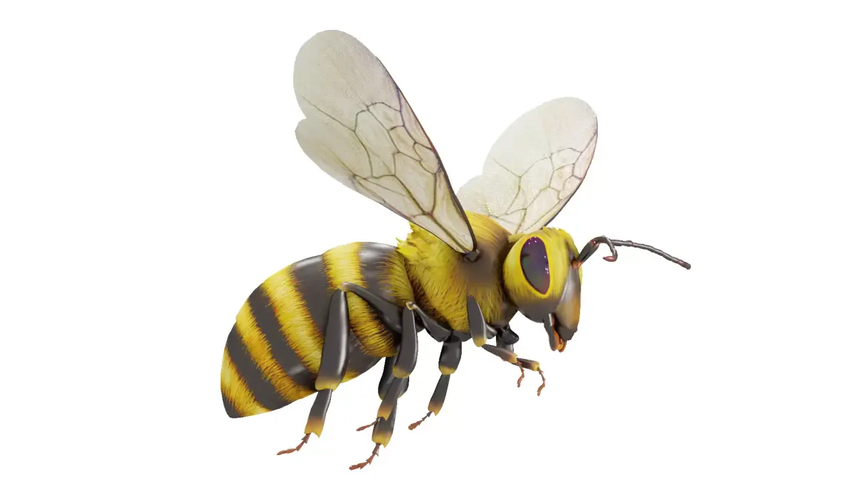 Detailed Animated Buzzing Honey Bee  3D model