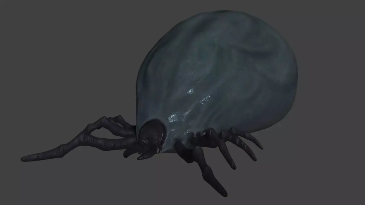 well fed tick Low-poly 3D model