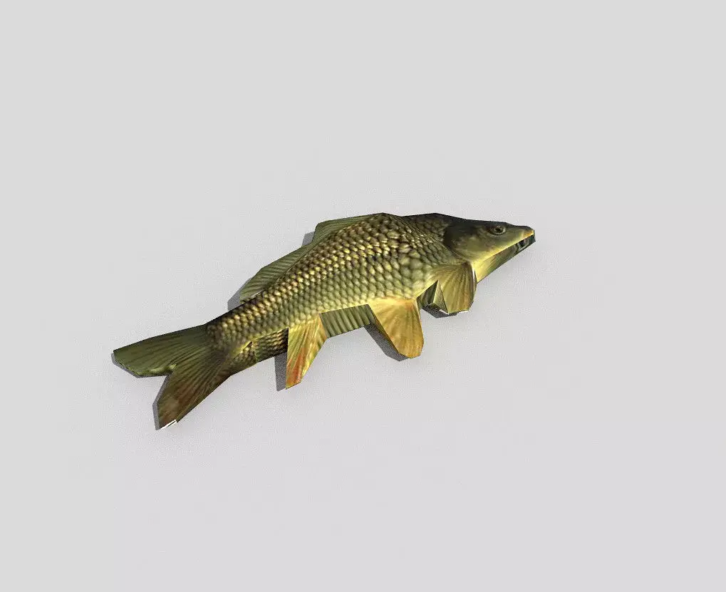 low poly fish carp Low-poly 3D model