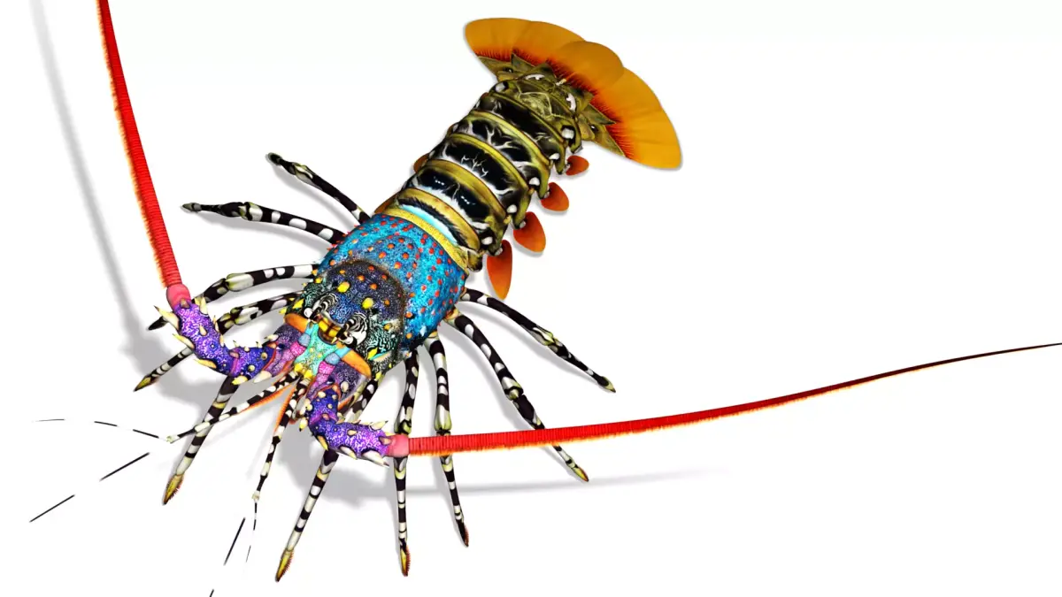 Ornate spiny lobster 3D model