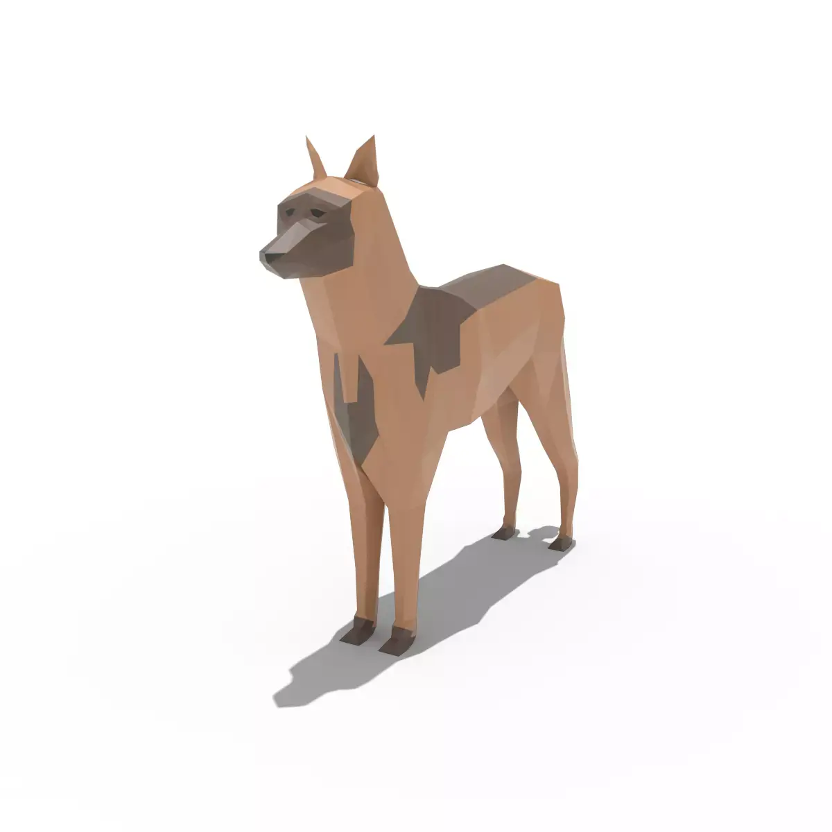 Low poly Belgian Malinois 3D model