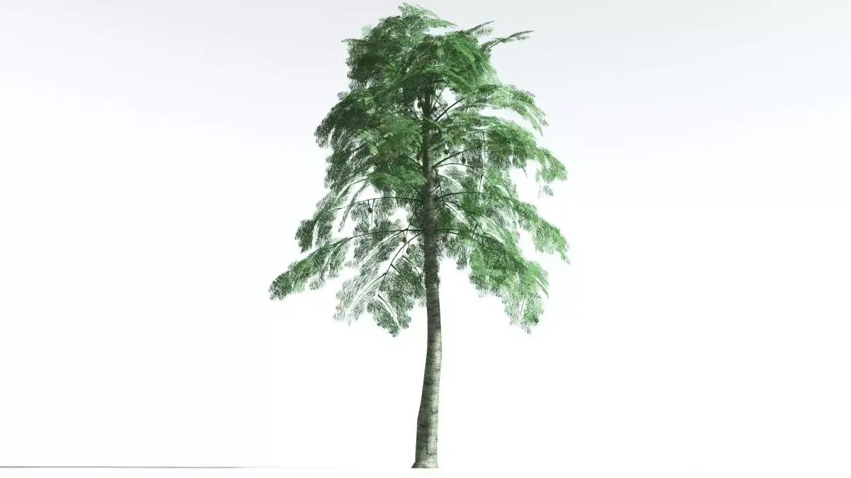 EVERYPlant Alethopteris Seed Fern LowPoly 3 --12 Models-- Low-poly 3D model