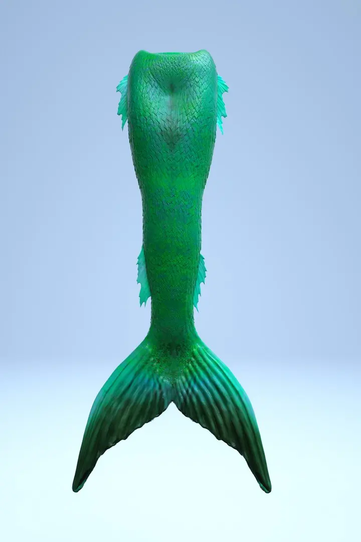 Realistic Mermaid Tail 3D model