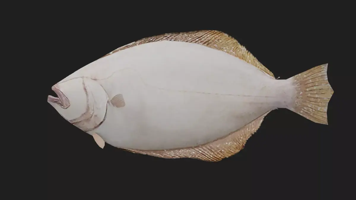 Flatfish Low-poly 3D model shop