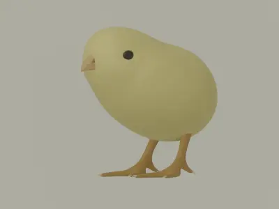 Chick 3D model purchase